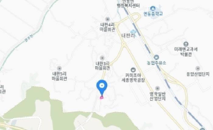 세종특별자치시 연동면 내판리 337-49 대지 경매 사진 46