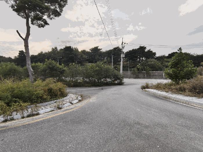 세종특별자치시 연동면 내판리 337-49 대지 경매 사진 5