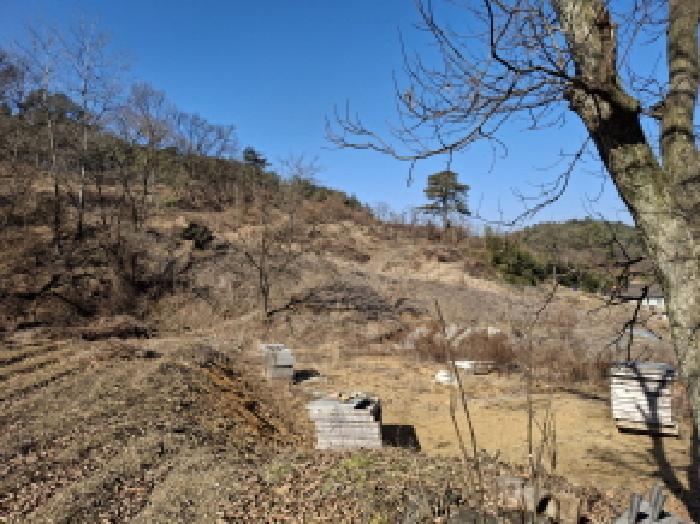 대전광역시 서구 오동 314 주택 경매 사진 10