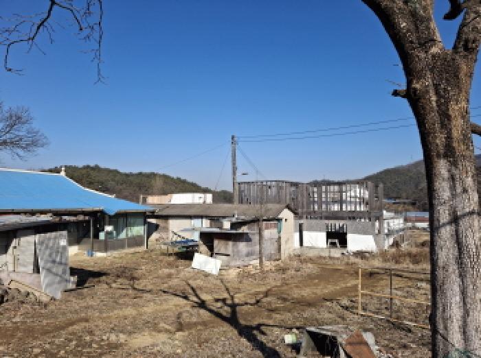 대전광역시 서구 오동 314 주택 경매 사진 14