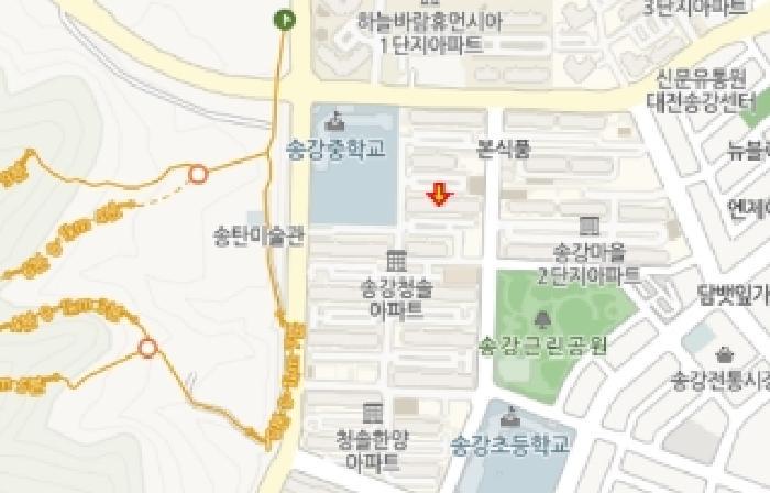 대전광역시 유성구 송강동 8-2 청솔아파트 310동 8층807호 아파트 경매 사진 12