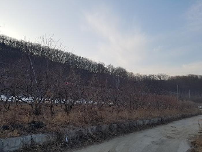대구광역시 군위군 군위읍 사직리 343-3 답 경매 사진 16