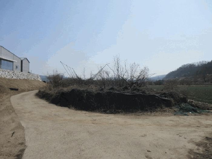 대구광역시 군위군 군위읍 사직리 343-3 답 경매 사진 3