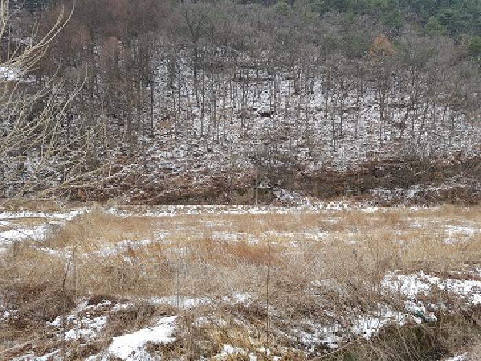 경상북도 의성군 단촌면 병방리 394 답 경매 사진 5