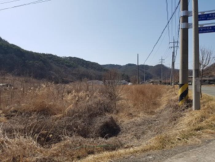 경상북도 의성군 사곡면 매곡리 151-3 전 경매 사진 3