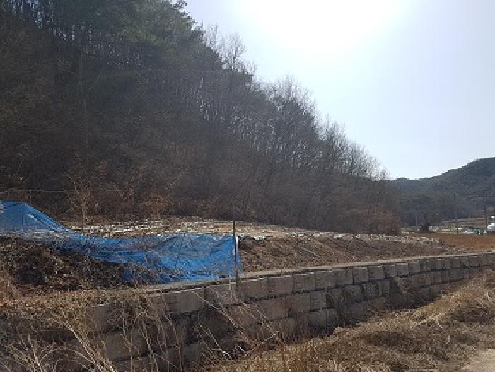 경상북도 의성군 사곡면 매곡리 25 전 경매 사진 6