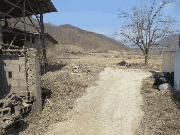 경상북도 의성군 안평면 하령리 475 대지 경매 사진 4