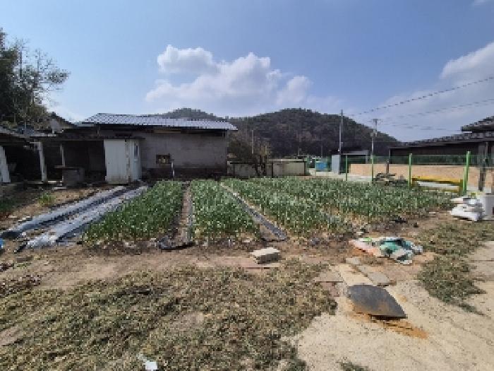 광주광역시 광산구 동호동 612 주택 경매 사진 12