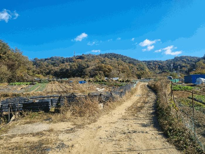 광주 북구 답