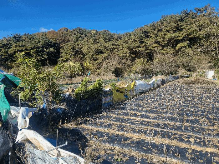 광주광역시 북구 일곡동 10 답 경매 사진 3