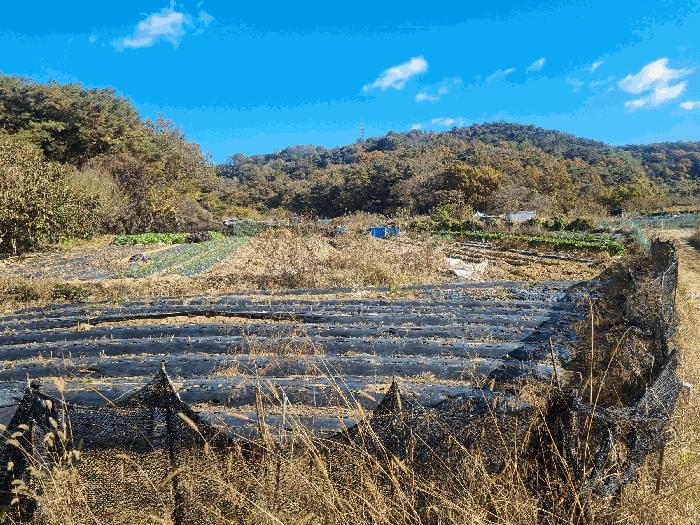 광주광역시 북구 일곡동 10 답 경매 사진 5