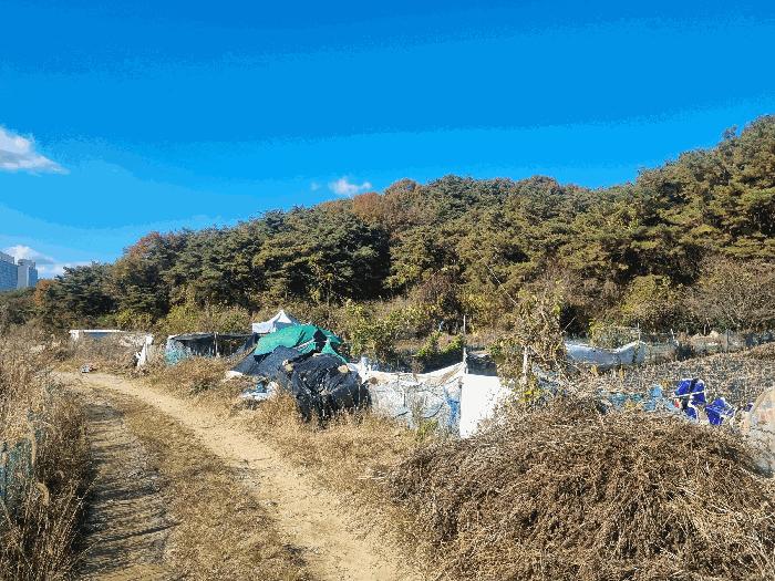 광주광역시 북구 일곡동 10 답 경매 사진 6