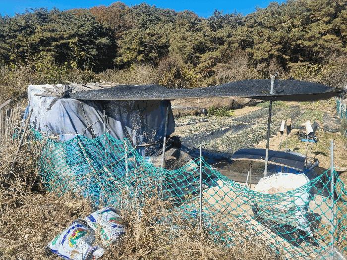 광주광역시 북구 일곡동 10 답 경매 사진 8