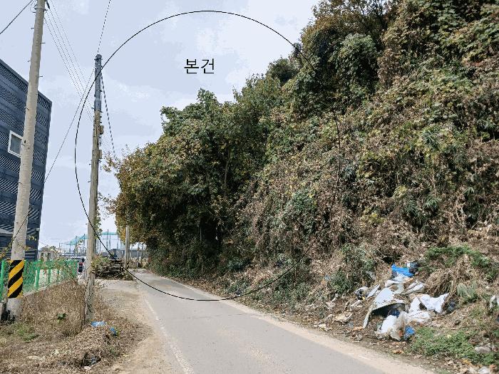광주광역시 광산구 신창동 산101-2 임야 경매 사진 4