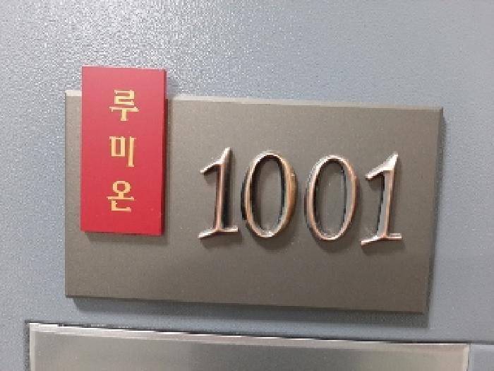 서울특별시 강서구 염창동 261-16 루미온 제102동 제10층 제1001호 오피스텔 경매 사진 11