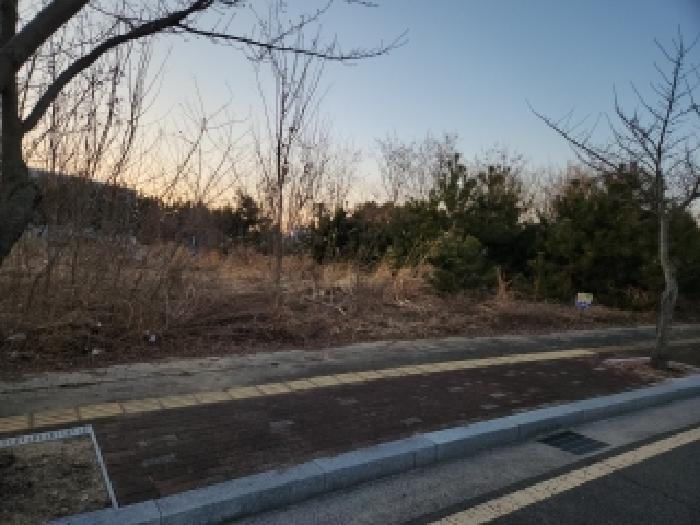 인천광역시 중구 운남동 1609-4 대지 경매 사진 8