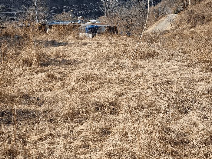 경상북도 경산시 용성면 외촌리 13 창고 경매 사진 2