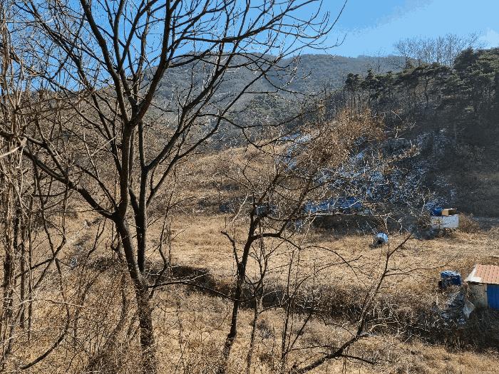 경상북도 경산시 용성면 외촌리 13 창고 경매 사진 3