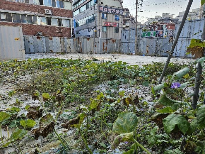 경기도 남양주시 진접읍 장현리 380-12 대지 경매 사진 2