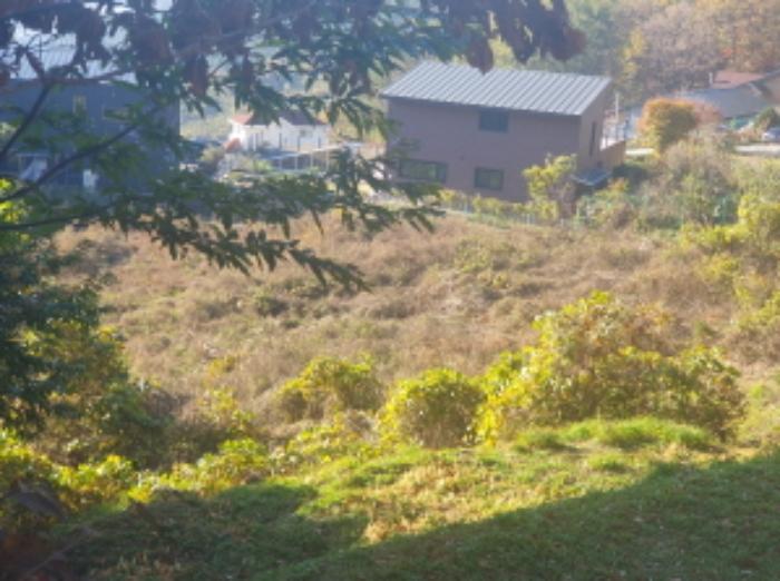 경기도 남양주시 수동면 외방리 295 전 경매 사진 10