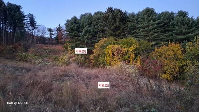 경기도 남양주시 수동면 외방리 295 전 경매 사진 5
