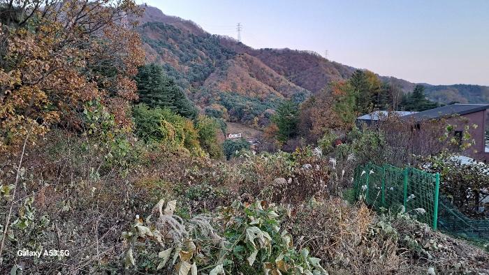 경기도 남양주시 수동면 외방리 295 전 경매 사진 7