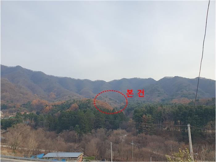 경기 남양주시 임야