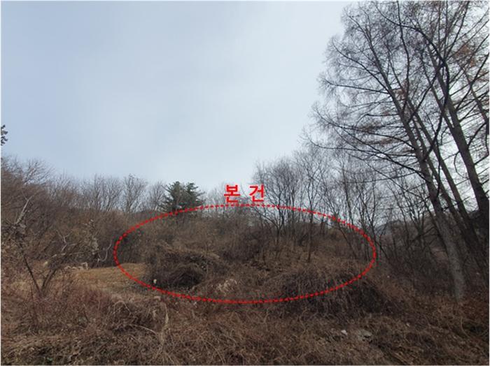 경기도 남양주시 오남읍 팔현리 산61 임야 경매 사진 2