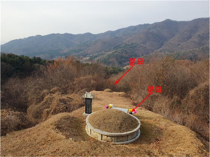 경기도 남양주시 오남읍 팔현리 산61 임야 경매 사진 4