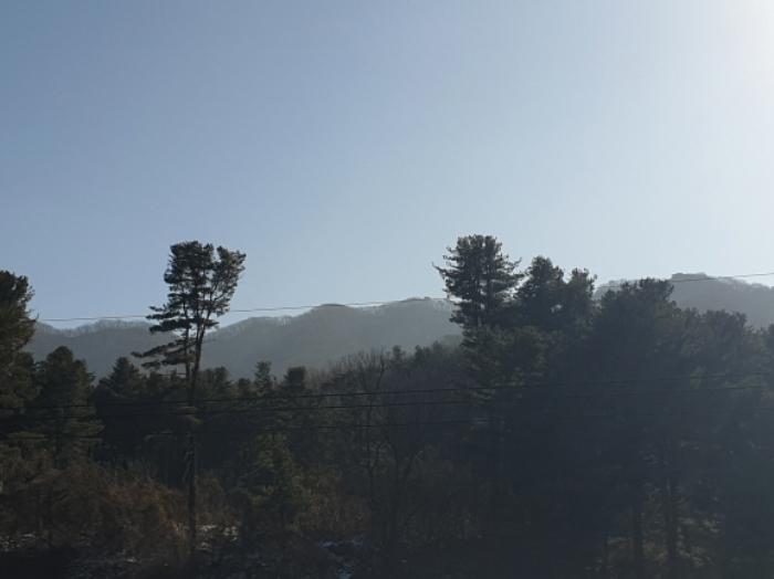 경기도 남양주시 오남읍 팔현리 산61 임야 경매 사진 5
