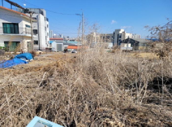 경기도 김포시 통진읍 가현리 323 임야 경매 사진 35