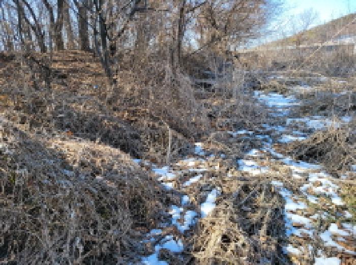 경기도 김포시 통진읍 가현리 323 임야 경매 사진 4