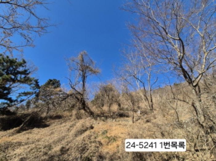 부산 사하구 임야