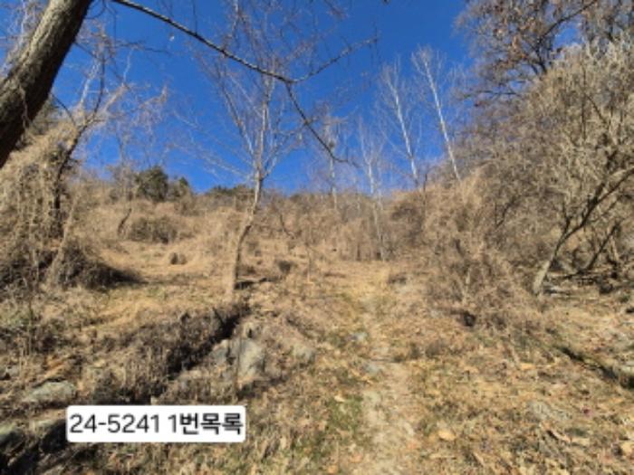 부산광역시 사하구 괴정동 산139-1 임야 경매 사진 2