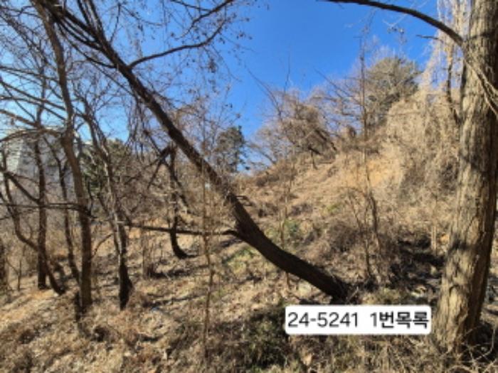 부산광역시 사하구 괴정동 산139-1 임야 경매 사진 3