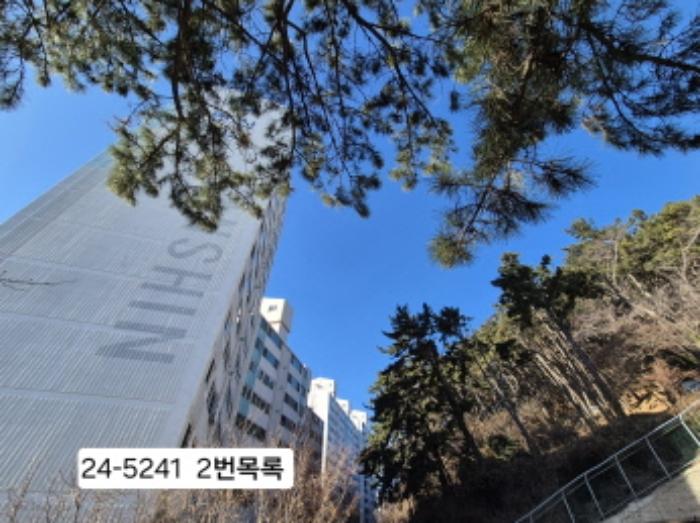 부산광역시 사하구 괴정동 산139-1 임야 경매 사진 4
