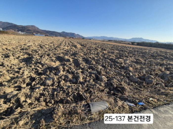 부산광역시 강서구 강동동 239-9 답 경매 사진 2