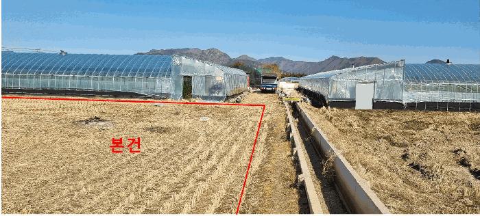 부산광역시 강서구 대저1동 3702-1 답 경매 사진 1