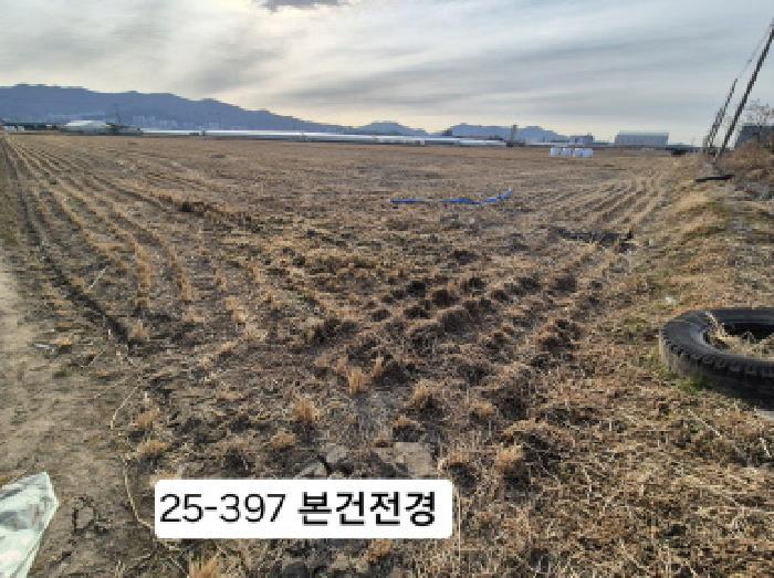 부산광역시 강서구 대저1동 3702-1 답 경매 사진 4