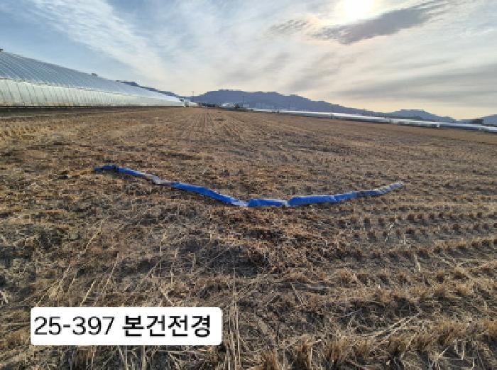 부산광역시 강서구 대저1동 3702-1 답 경매 사진 5