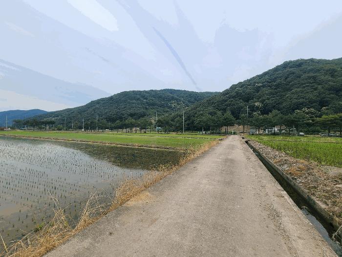 경상남도 의령군 가례면 수성리 64-3 주택 경매 사진 10