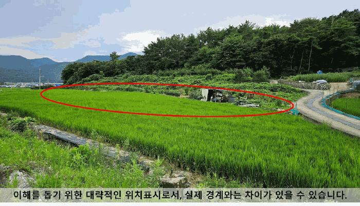 경상남도 창원시 마산합포구 진전면 임곡리 276-1 답 경매 사진 3