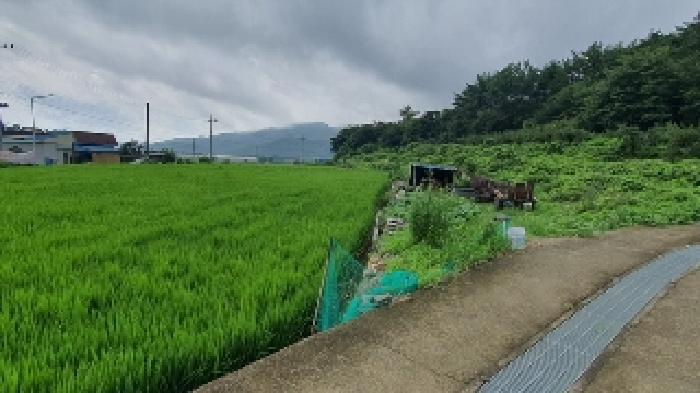 경상남도 창원시 마산합포구 진전면 임곡리 276-1 답 경매 사진 5