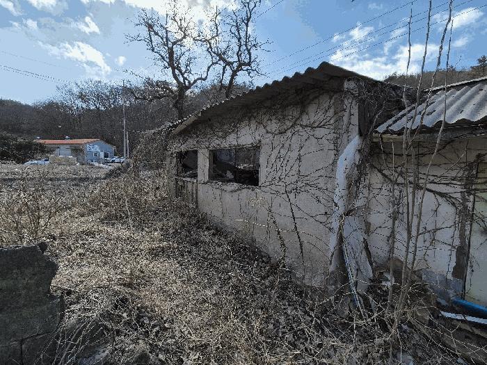 전라남도 나주시 남평읍 풍림리 66 전 경매 사진 3