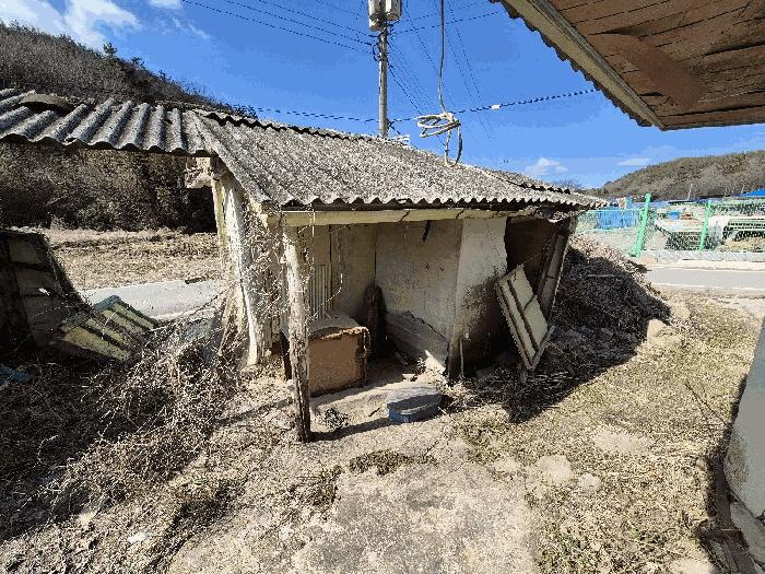 전라남도 나주시 남평읍 풍림리 66 전 경매 사진 5