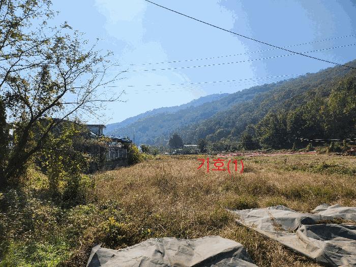 경상북도 고령군 전