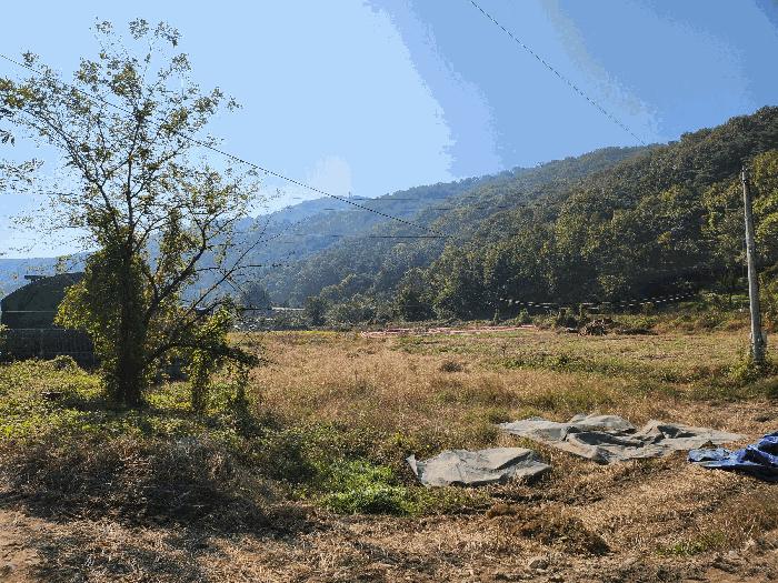 경상북도 고령군 우곡면 야정리 461 전 경매 사진 13