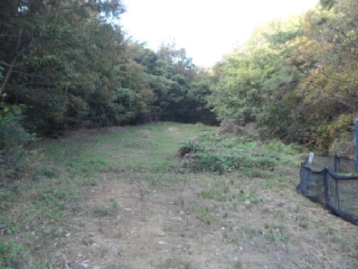 경상북도 고령군 우곡면 야정리 461 전 경매 사진 9