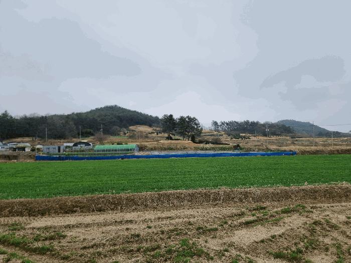 전라남도 나주시 반남면 대안리 330 대지 경매 사진 1