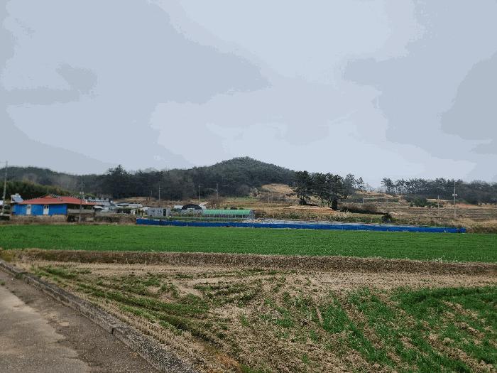 전라남도 나주시 반남면 대안리 330 대지 경매 사진 10